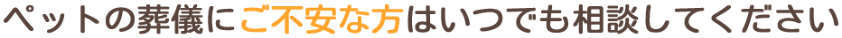 ペットの葬儀にご不安な方はいつでも相談してください