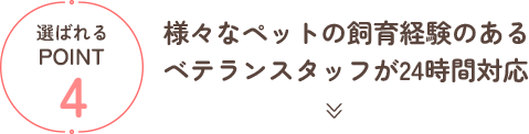 様々なペットの飼育経験のあるベテランスタッフが24時間対応