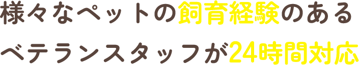 様々なペットの飼育経験のあるベテランスタッフが24時間対応