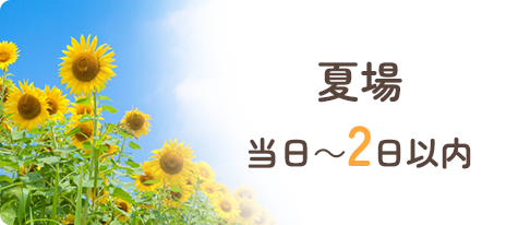 夏場当日～2日以内