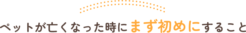 ペットが亡くなった時にまず初めにすること