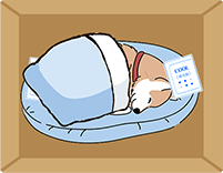 毛布で包まれる亡くなったペット