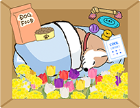 副葬品に囲まれる亡くなったペット